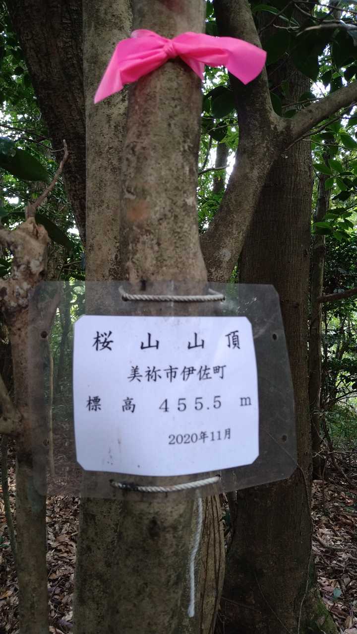 意外に、標高あるんだ😲