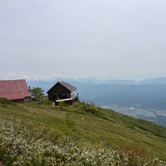てくてく