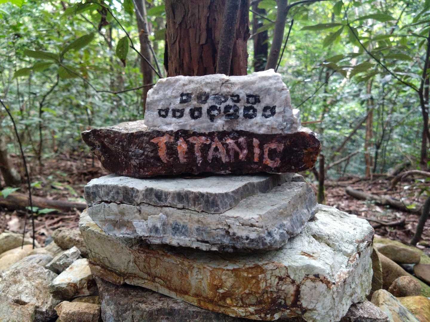 米田白山 周回コースの写真