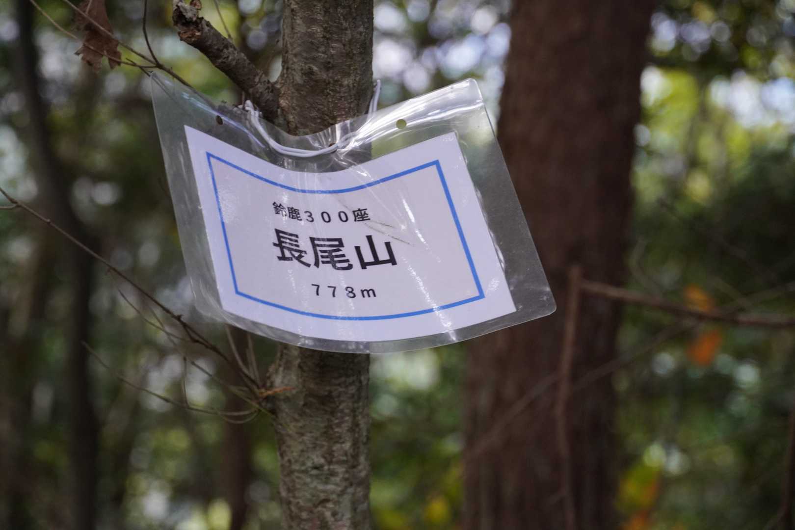 長尾山に寄りました。山頂からバックしましたが、そのまま前に行けるようです
