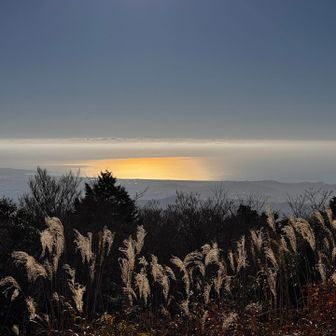 山頂から太平洋