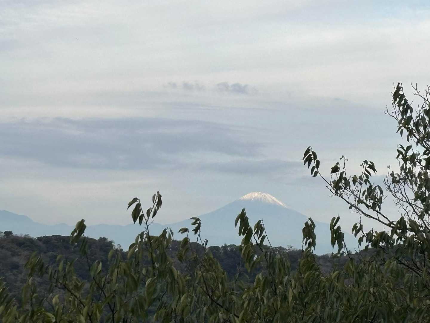 三浦富士登山口-富士山-砲台山-武山-武山ハイキングコース 周回コースの写真