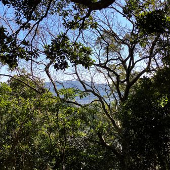 高塚からの眺め。