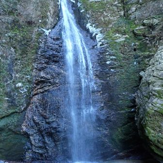 気持ち上の方だけ凍っている