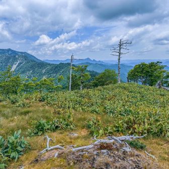 楊枝の森から、北方向の眺めは星ヶ岳、八経ヶ岳、てその右に大普賢岳、四兄弟