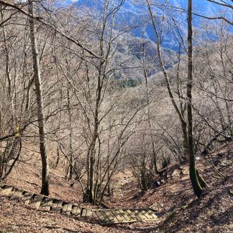 いや〜急登だね〜💦
下りでよかった〜😗