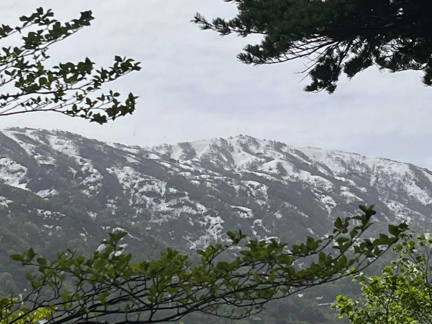 黄連山-菊石山-下駒ヶ岳-白鳥山-金時の頭-坂田峠-尻高山 縦走コースの写真