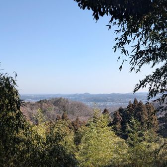 スカイツリーが見えるらしい