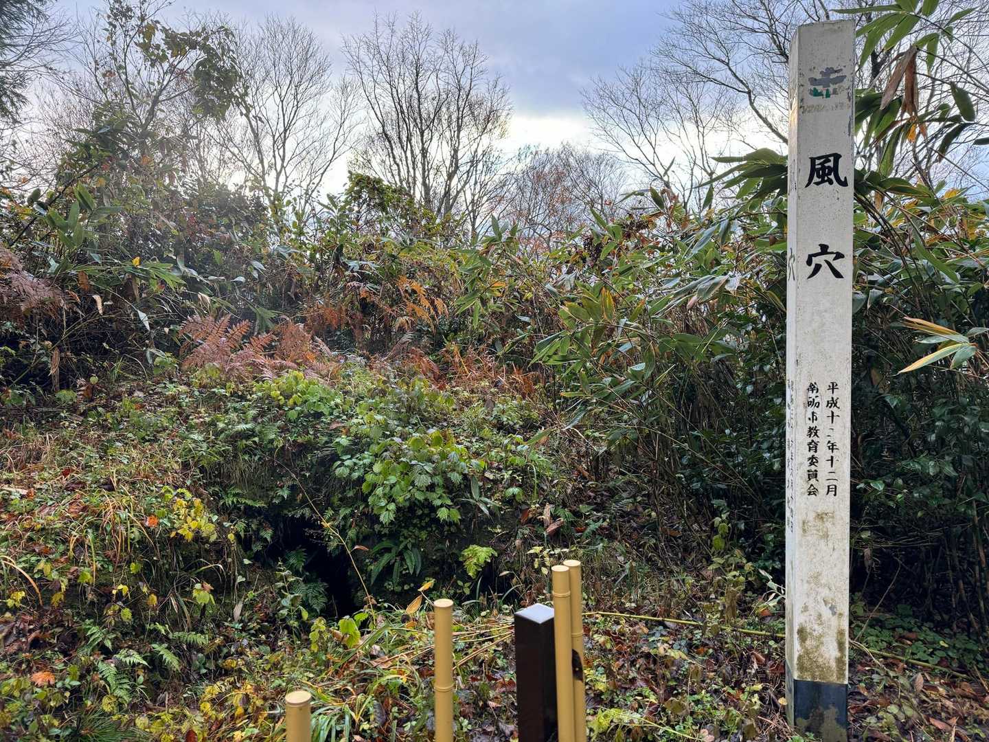 風穴覗いてクマいたらビックリなので、覗かない…。