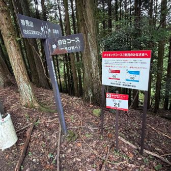ようやく谷の出口に。