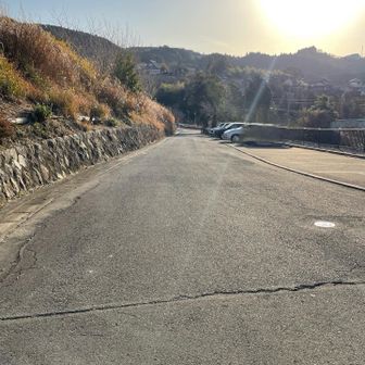 駐車場の様子
20台ぐらい停めれそう