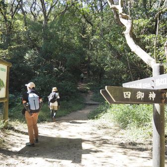 周回コースに合流して山頂を目指します。😉👌