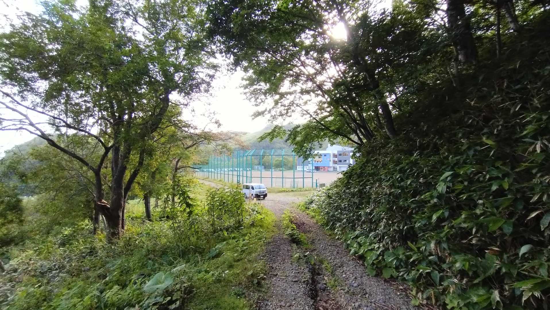 げざーん🙌