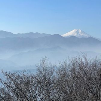 煙の雲海が美しくも悲しい😭