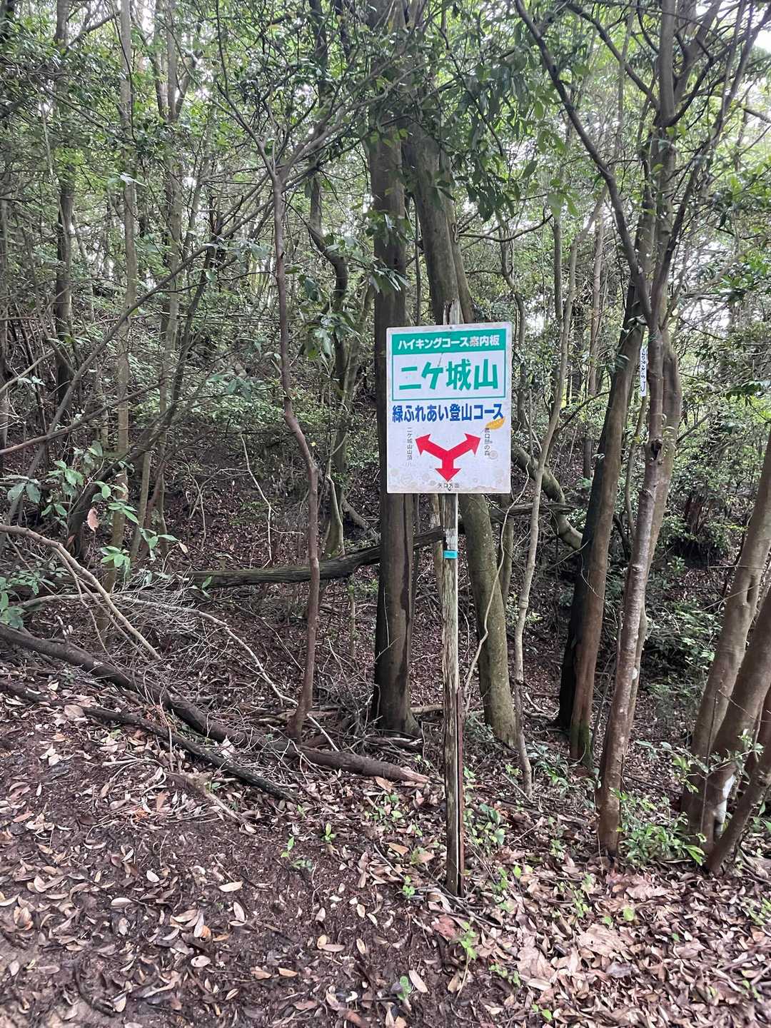 分岐を左へ👈👈