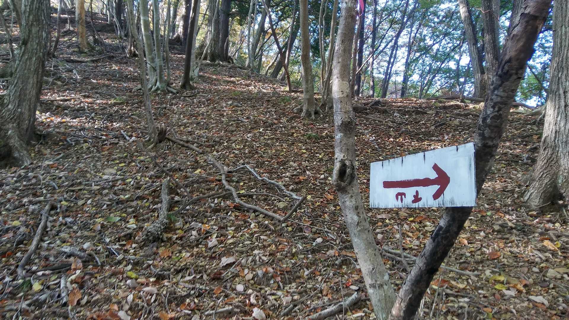 "下山"が逆にw。