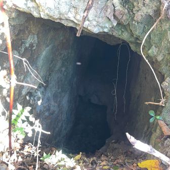 大きな穴🕳️‼️これって坑道跡ですよね？かなり深く奥まで続いてます😳 masaさん出番ですよ🤣