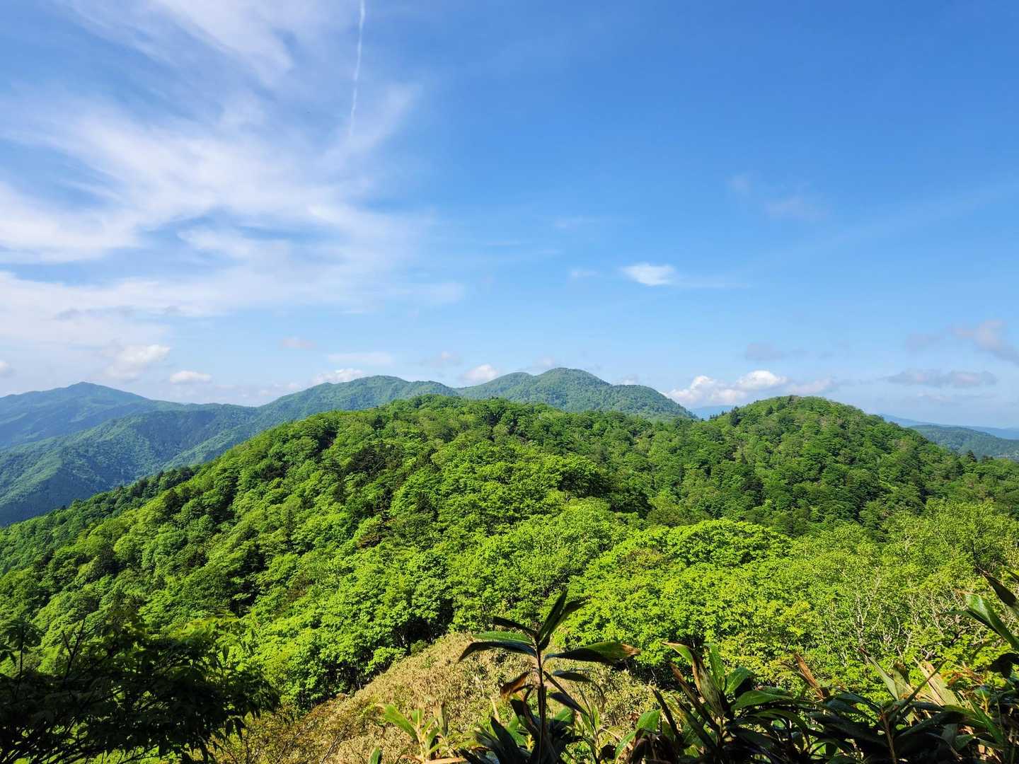 位山への登り返し箇所から、川上岳を振り返る⛰️
なかなか遠かったです💦