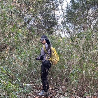 そこで、取り出したるは老眼鏡（100均）