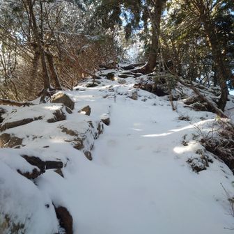 大山への登りは鎖場になってます、ここは傾斜ゆるくチェンスパでも問題なし