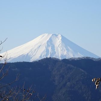 丸山からの富士山