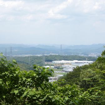 展望台だった