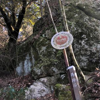 午年にちなんで、馬蹄石🐎
よい香りしたら玉依姫で
九個の頭の龍馬（りゅうめ）になり
蹴ったときに残った蹄跡らしい

九個の頭の馬こわいなあ、