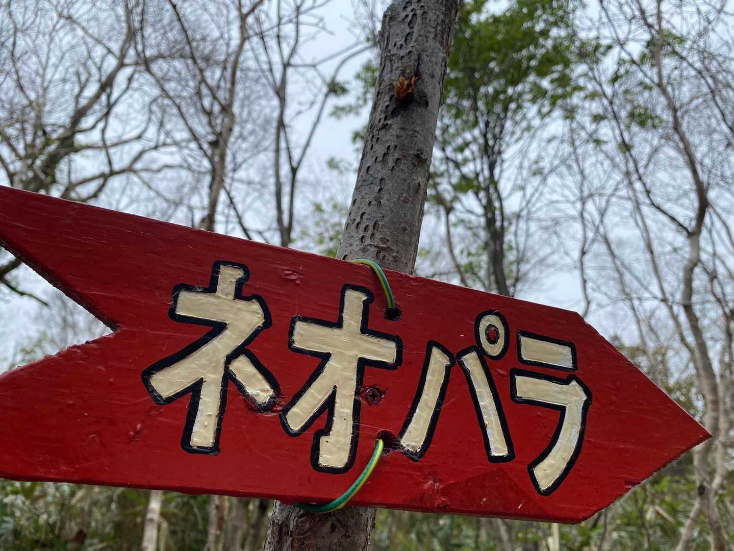 ネオパラ 往復コースの写真