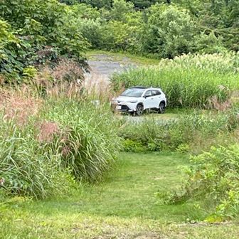 ただ今〜🚗
駐車料金後払い1000円
♨️はチャッピーおすすめ雪ささの湯（1000円）
下山飯は道の駅みつまたでかけそば（900円）
食べてお土産買って帰路へ。（写真撮り忘れました💦）
いろいろあったけど無事下山に感謝🙏
最後までご覧いただきありがとうございました🙇‍♂️😊