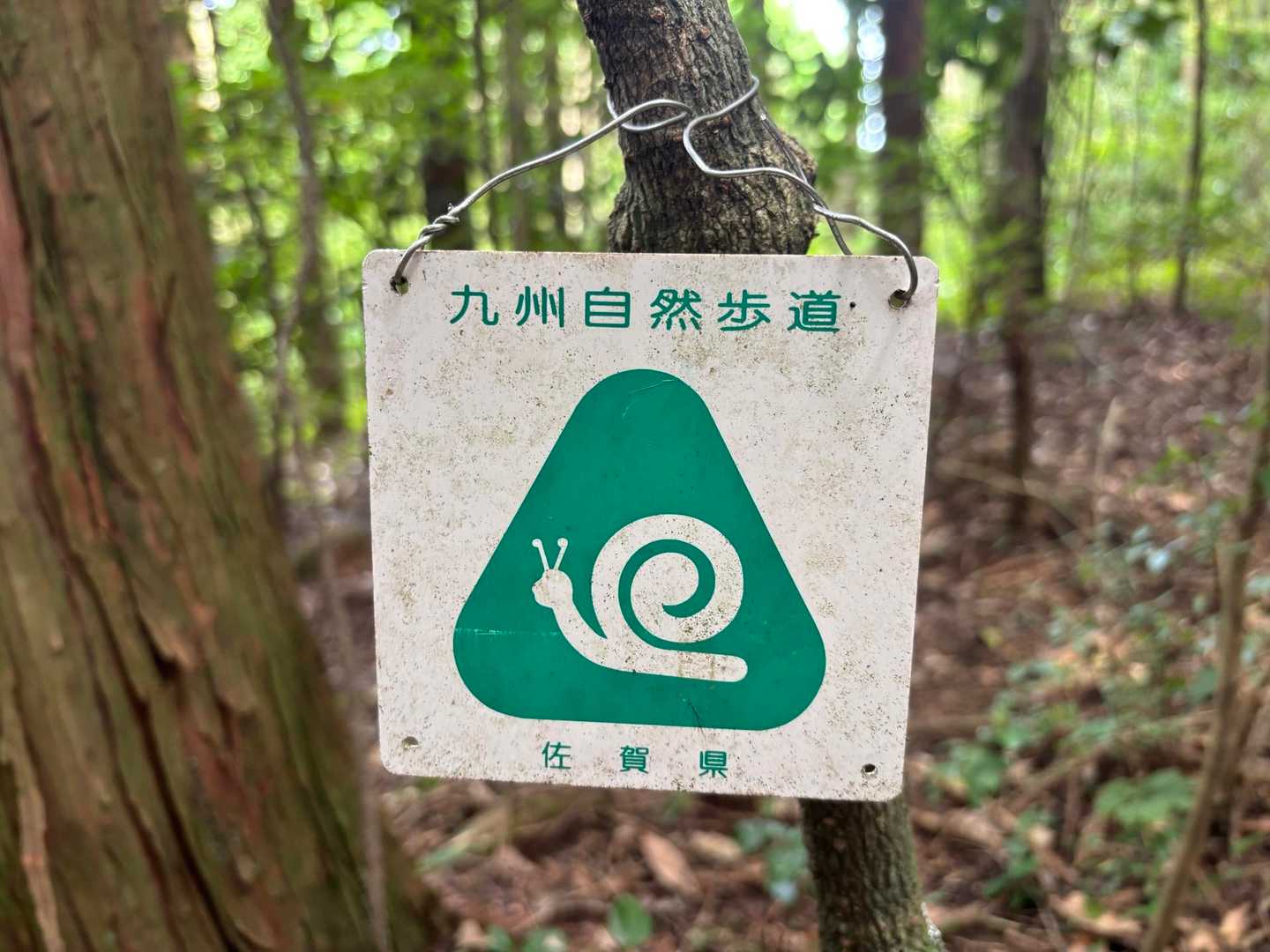 女山登山口-女山 往復コースの写真