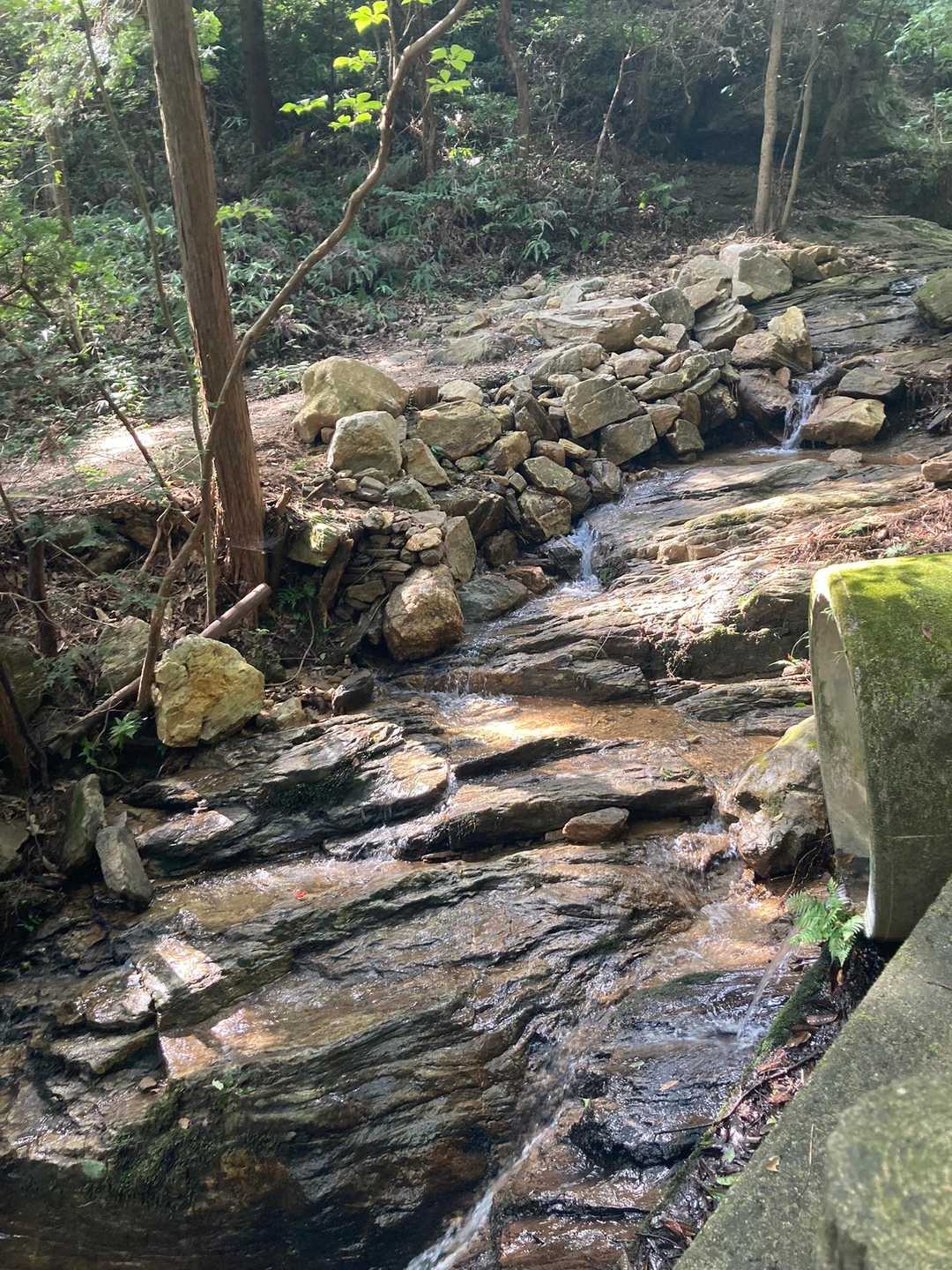 茶臼山 往復コースの写真