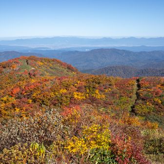 東京、埼玉、千葉、奈良、兵庫、栃木、広島、京都、富山、長野、秋田、山形・・・・