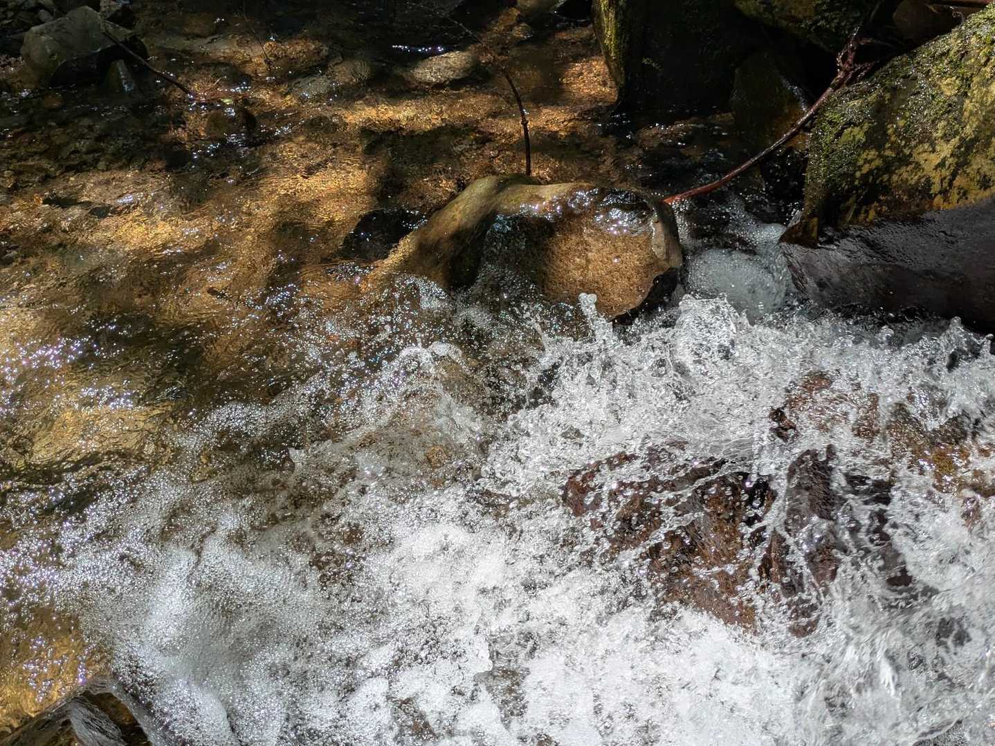 小さな沢を行ったり来たり
ここまで　ピンクリボンに助けられた