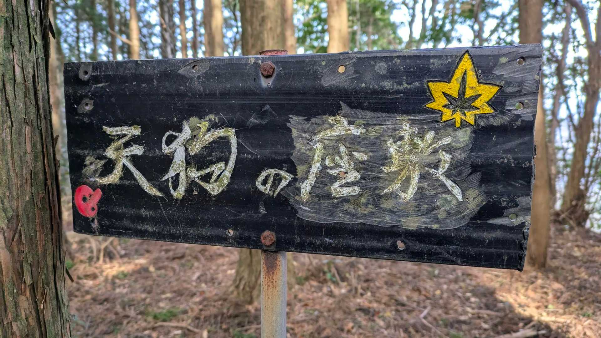 日当山-奥北山-八高山 周回コースの写真