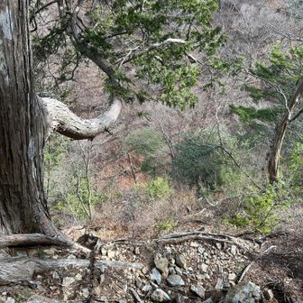 崖の下の崖を見おろしたところ。地面とか遠くて全く見えない。