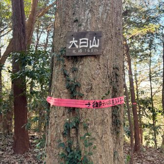 北峰。大日山前後は、かなりの急坂