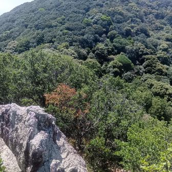 あれがすり鉢山か〜
とても遠く高く見える⋯
暑すぎ
今日は無理
また挑戦しますね
