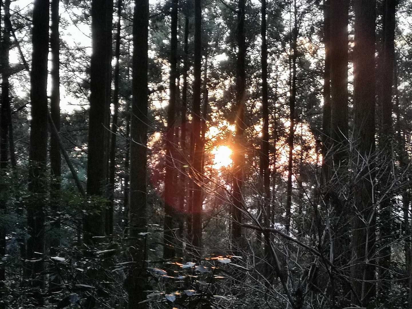 朝日を浴びながら　下山