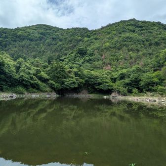 この池の向こう岸中央部分に滝が流れています。