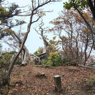 大障子岩到着🙌
前障子岩へのルートが悲惨だったのでちょっとビビってましたが、少し登るだけで着いたのでよかった😮‍💨
