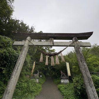 よろしくお願いします🙏