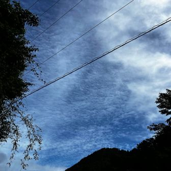 今は青空。バスの中からは富士山も見えておりました。