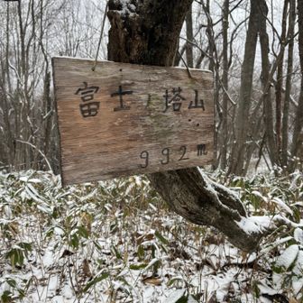 山頂。藪と木々に囲まれて眺望はない。