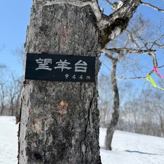 名前が決まった頃は見えたのでしょうか🐏