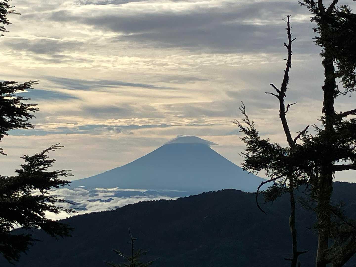 富士山