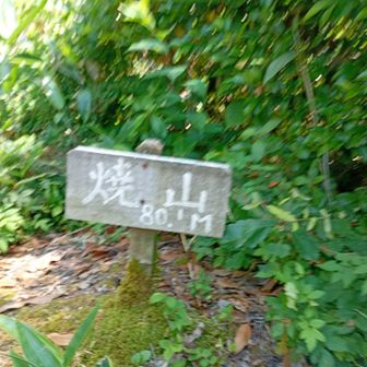 山頂(^_^;)
