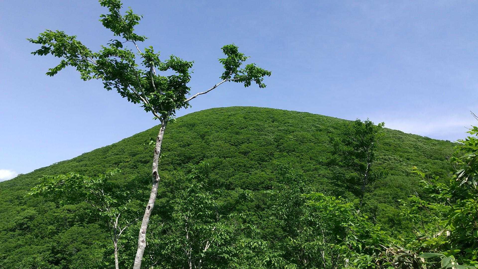 日本一の虎の山～大きかった‼️