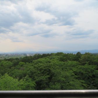 展望台からの景色
今日も富士山見えません