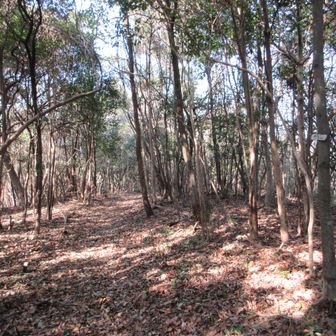 ここも展望はありません