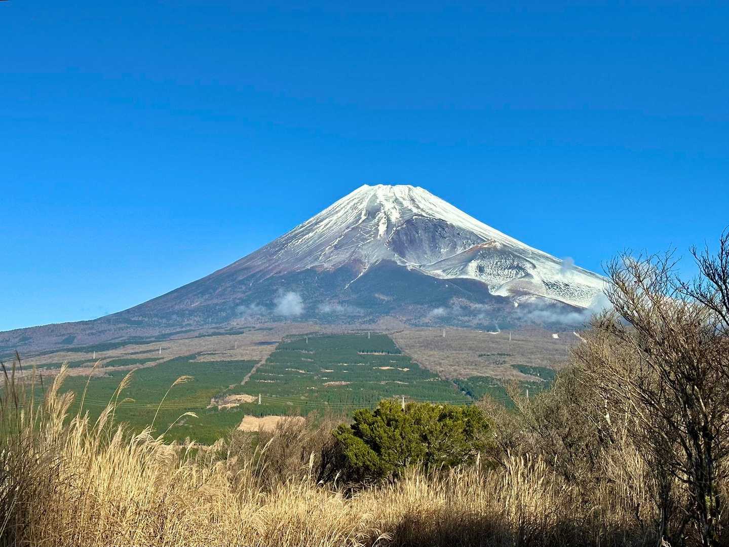 富士山どぉ〜ん⁉️

近くに演習場があって、常に、
大砲も、どぉ〜ん⁉️

って、鳴ってた🤣🤣🤣